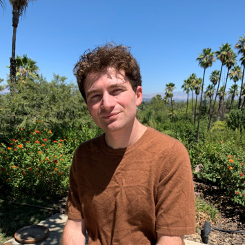 A person with short curly brown hair and brown tee shirt sits in front of a bright blue sky, tropical plants and palm trees.